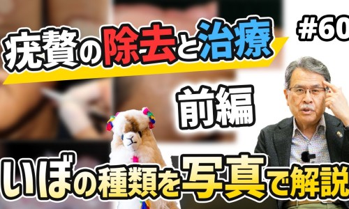 地芩-【地铃功效】地茯苓的功效 - 地苓的作用网